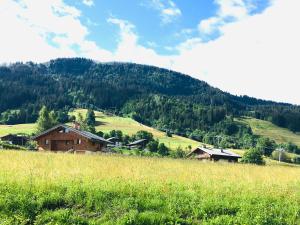 Appartements Le Nantoran : photos des chambres