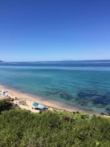 Ginepro family img27