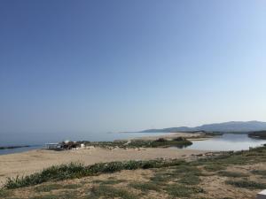 Ginepro family img29