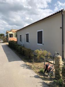 Ginepro family img15