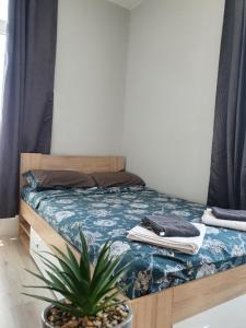 Diamond Luxury Apartment 1