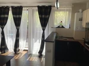 Ski View Studio - near the ski slopes