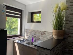 Sorica Studio - near the ski slopes