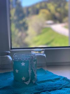 Ferienwohnung Natururlaub Muggenbrunn