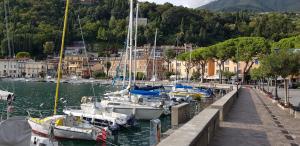 Residence Olivi - Panorama Lake View, Pool, Terrace, Garden, Wifi