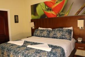 11B Jaco Sol Quadplex