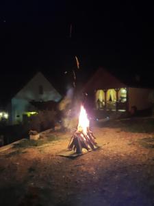 Pensiunea Maria-Elena