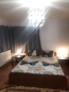 Tobyta nu primesc santieristi si petrecareti