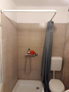 Tobyta nu primesc santieristi si petrecareti