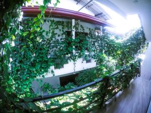 Mirissa Blue Whale Holiday Hotel