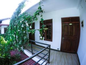 Mirissa Blue Whale Holiday Hotel