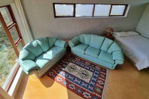 Hilltop Heaven, Walk to beach, Pool, Ocean & River views