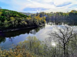 Maisons de vacances Les Fougeres Du Lac : photos des chambres