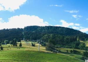 Appartements Le Nantoran : photos des chambres