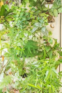 Appartements La Kanopee - Les Loges Normandes : photos des chambres