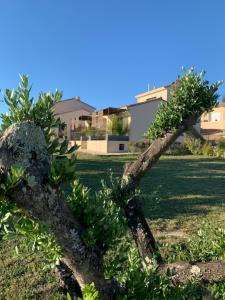 B&B / Chambres d'hotes Au Fil des Cevennes : photos des chambres