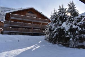 Chalets Chalet le Petit Ramoneur : photos des chambres