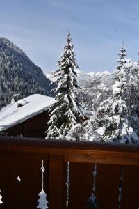 Chalets Chalet le Petit Ramoneur : photos des chambres