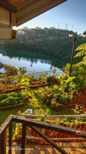 Misty Paradise of Lake Gregory