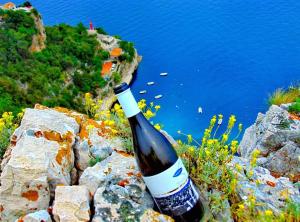 Studio-Apartman-Diana