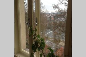 Pod Parkany studio with view