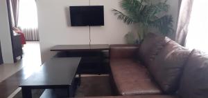 Comfy & Spacious Apartments