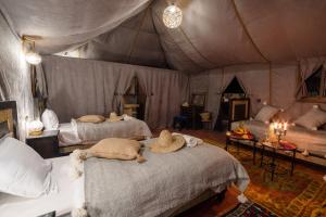 Luxury Camp Merzouga