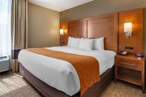 King Suite - Non-Smoking room in Comfort Suites Bethlehem Near Lehigh University and LVI Airport