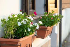 La Casa di Smilla - (Bevagna)