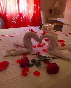 metro C and Tor Vergata - Torre Gaia