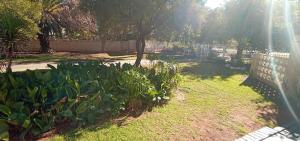 The Guesthouse on Main