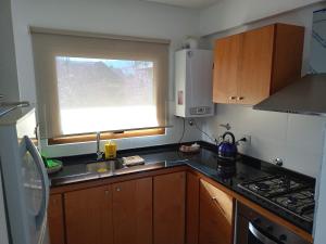 Cómodo Departamento Céntrico en San martin de los andes