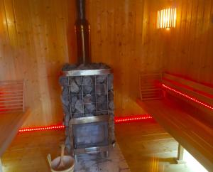 Dom nad stawem przy lesie