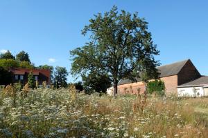 Ferienwohnung Mohnblume