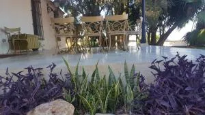 Vivir La Victoria. - 阿塔玛丽亚