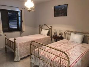 Pinheirinhos - Quinta de São Caetano