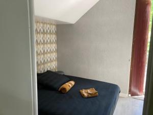Appartements Appartement La Libellule, professionnels et vacanciers : photos des chambres