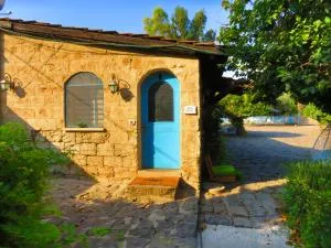 THE MANSION in yesod hamaala - Gadot