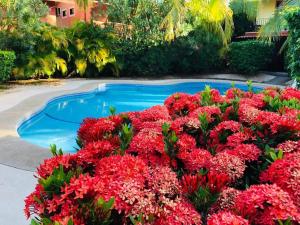 Valle Dorado 9 - 4-Sterne-Hotels in Coco