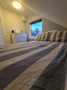 Glass roof private loft in Tromsø