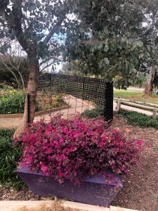 Barklysuites Apartments