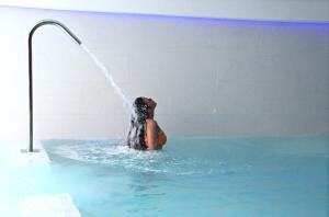 Hotels Hotel Montaigne & Spa - Cannes Centre : photos des chambres