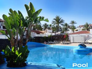 Las Americas Luxury Low-Cost Apartment with Terrace & Views