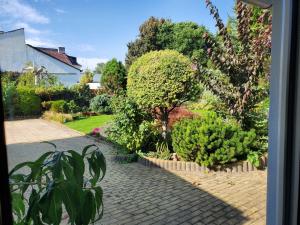 Apartman Starý Liskovec