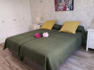 Apartamentos El Guirre