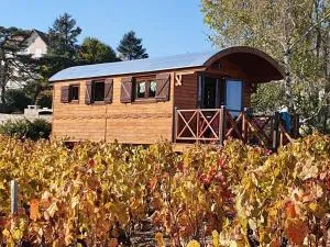 Roulotte et Gîte de Chiroubles - 维列莫尔贡