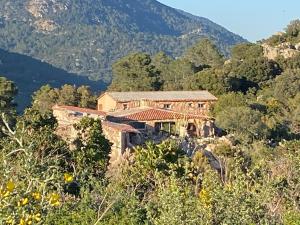 Hotels Domaine de Piscia : photos des chambres