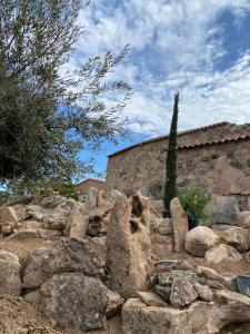 Hotels Domaine de Piscia : photos des chambres