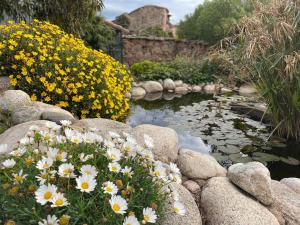 Hotels Domaine de Piscia : photos des chambres