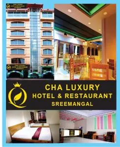 Cha luxury Hotel & Restaurant - 斯里曼加尔乌帕齐拉